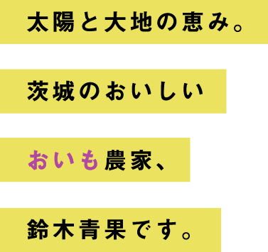 太陽と大地の恵み。茨城のおいしいおいも農家、鈴木青果です。